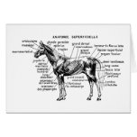 Horse Card