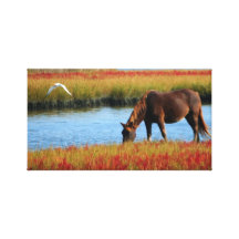 Horse drinking water canvas print