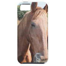 Horse duo