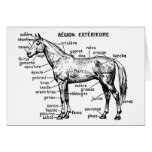 Horse Greeting Cards