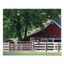 Horse Greetings 10x8 Photograph Print