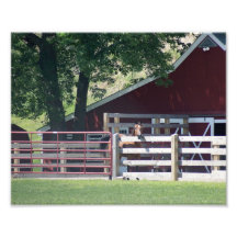 Horse Greetings 10x8 Photographic Print