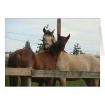 Horse Grooming Card