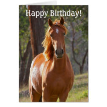 Horse Happy Birthday Card for Horse lovers