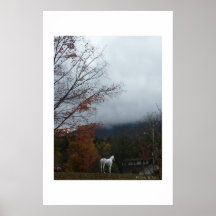 Horse in fog poster