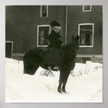 Horse in Snow Posters