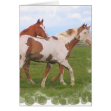 Horse Pair Greeting Card
