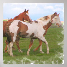 Horse Pair Poster