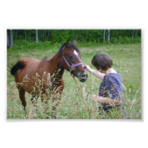 Horse Photo