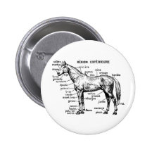 Horse Pin