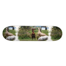 Horse Play Skateboard