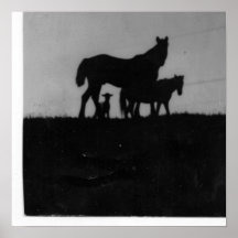 Horse/Pony/Lamb at Sundown Posters