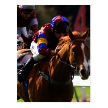 Horse Racing Postcard