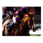 Horse Racing Postcard