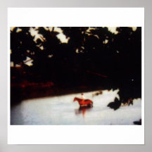 Horse/Rider in Stock Pond Posters