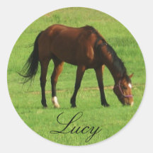 Horse Round Stickers