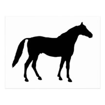 Horse Silhouette Post Cards
