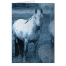 Horse Solitude Greeting Card
