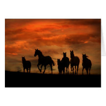Horse Sympathy Card