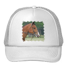Horse with Bridle Baseball Hat