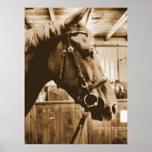 horsefresco print