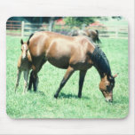 Horses 123 Mousepad