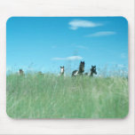 Horses 171 Mousepad