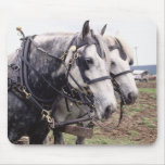 Horses 176 Mousepad