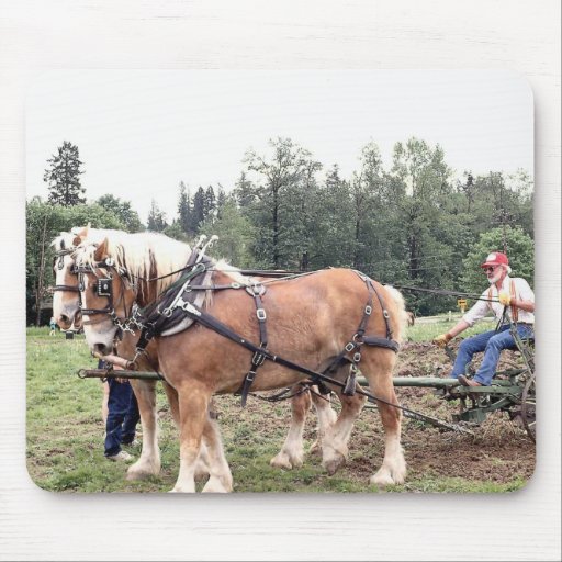 Horses 178 Mousepad