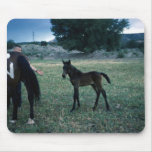 Horses 244 Mousepad