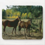 Horses 50 Mousepad