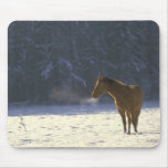 Horses 71 Mousepad