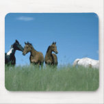 Horses 72 Mousepad