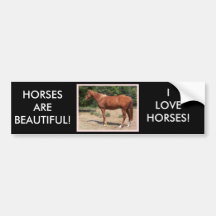 HORSES ARE BEAUTIFUL! BUMPER STICKER