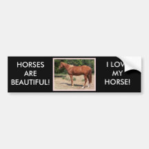 HORSES ARE BEAUTIFUL! BUMPER STICKER