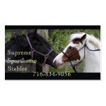 Horses Business Card Template