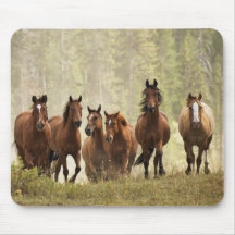 Horses cresting small hill during roundup, 2 mouse pads