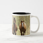 Horses cresting small hill during roundup, 2 mugs