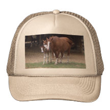 Horses Design Trucker Hats