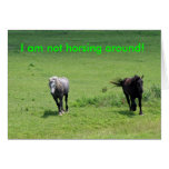 Horses, Happy Birthday! Card
