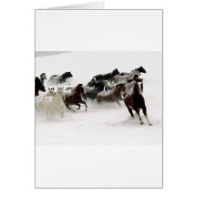 Horses in the snow card