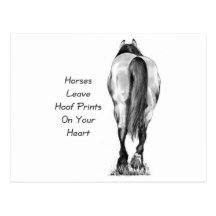 Horses Leave Hoofprints On Your Heart: Pencil Art Postcards