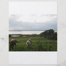 Horses near a lake flyer design