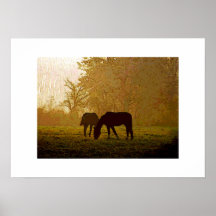 Horses Pop Art Poster Print - Horse Posters