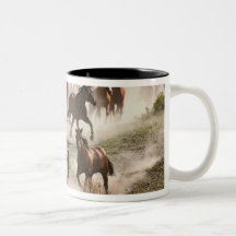 Horses running during roundup, Montana Mugs