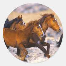 Horses running round stickers