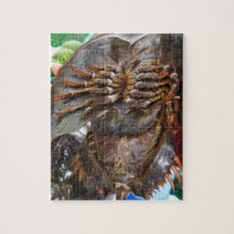 Horseshoe Crab Jigsaw Puzzles