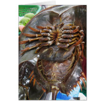 Horseshoe Crab ... Thai Street Food Card