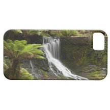 Horseshoe Falls, Mount Field National Park, iPhone 5 Covers