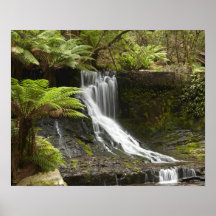 Horseshoe Falls, Mount Field National Park, Posters